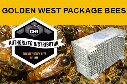 OHB Randy Oliver Golden West Package of bees from Hartville Honey Bee Farm