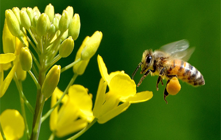 Landerhaven Cleveland Ohio