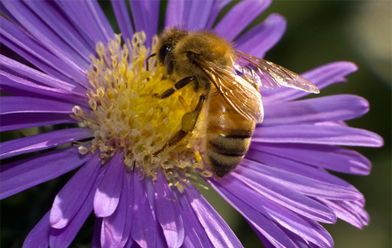 Fountain Blue Event Center - Avon Lake Ohio