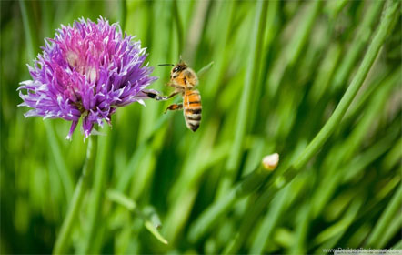 Elmridge Party Center - Canal Fulton, Ohio
