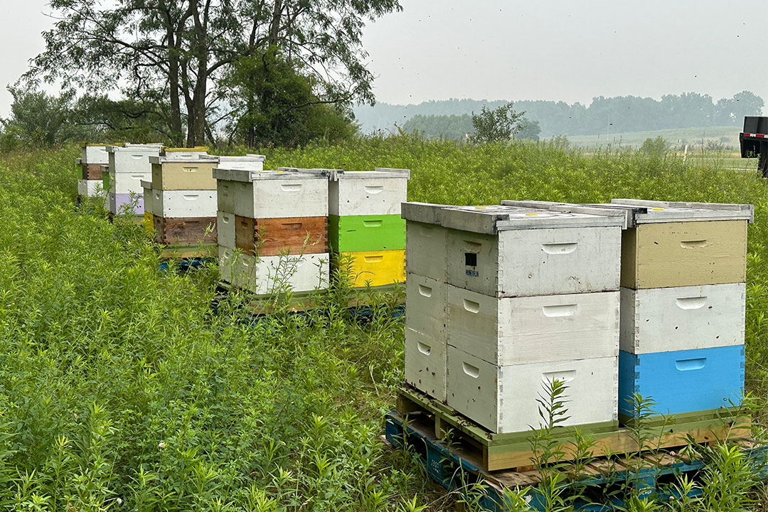 Hartville Honey Bee Farm Crop Pollination NE Ohio