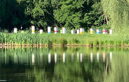 Bee hives near pond at Hartville Honey Bee Farm