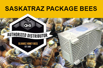 OHB Saskatraz Package of bees from Hartville Honey Bee Farm